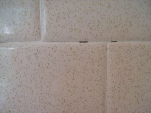 grout how bathroom clean holes 70s these the Hometalk My tiles. bathroom between has grout how bathroom clean holes 70s these the Hometalk My tiles. bathroom between has