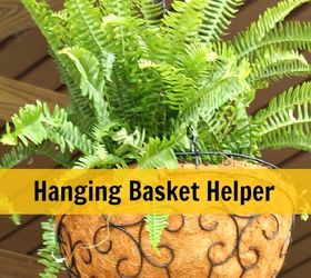 hanging plant basket, container gardening, gardening, how to