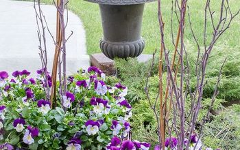 How To Create A Gorgeous Pansy Outdoor Planter In Four Easy Steps