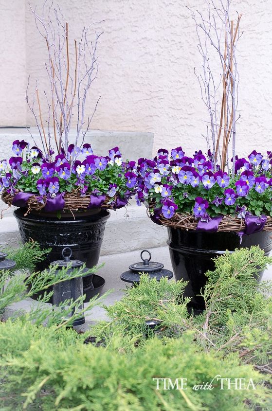 Pansy Display How To Create A Gorgeous Pansy Outdoor Planter In Four Easy Steps ...