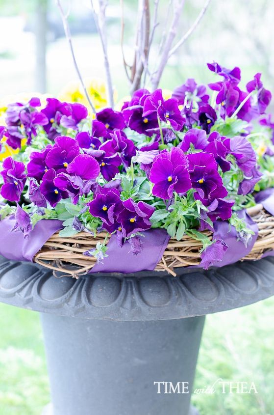 Pansy Display How To Create A Gorgeous Pansy Outdoor Planter In Four Easy Steps ...