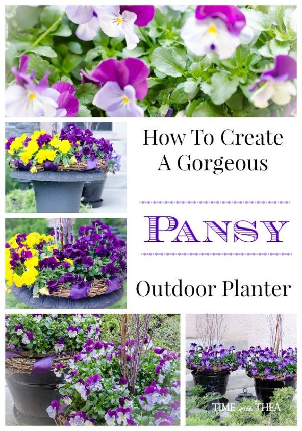 how to create a gorgeous pansy outdoor planter in four easy steps