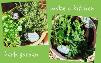 Plant a Kitchen Herb Garden