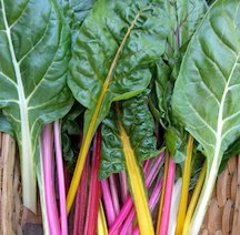 best vegetables to grow in a drought, gardening, go green, homesteading