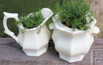 Create Container Gardens Out of Anything!
