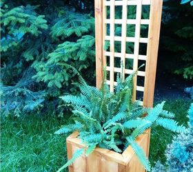 diy trellis planter, container gardening, diy, gardening, how to, woodworking projects