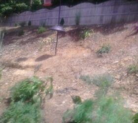 la pendiente de mi patio trasero necesita una ayuda seria, M s erosi n Estoy pensando en alg n tipo de cobertura del suelo