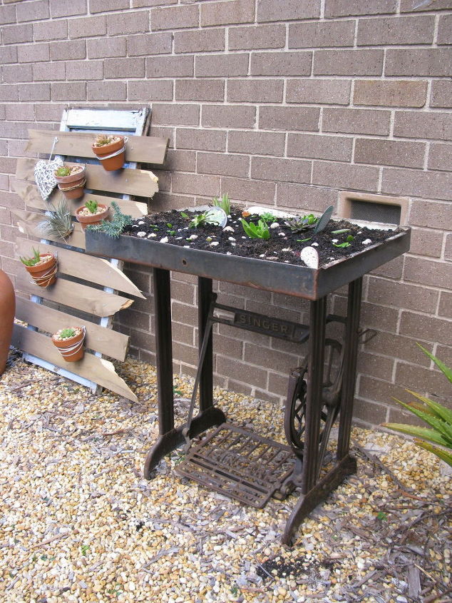 succulent singer treadle makeover, flowers, gardening, repurposing upcycling, succulents