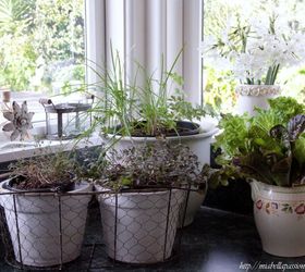 potted fresh herbs in the kitchen, container gardening, gardening, home decor