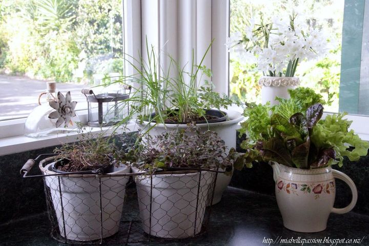 ervas frescas em vasos na cozinha