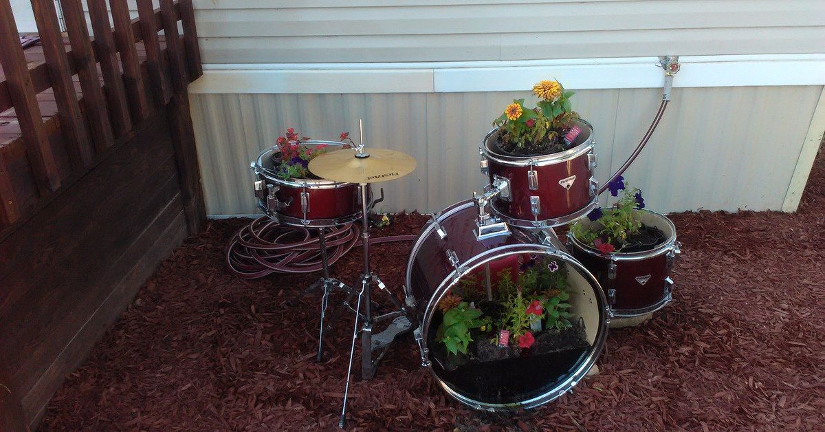 repurposed-drumset-to-flower-bed-container-gardening-flowers-gardening.jpg