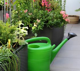 small space gardening with a lush green balcony garden, container gardening, flowers, gardening, porches, urban living, adequate drainage
