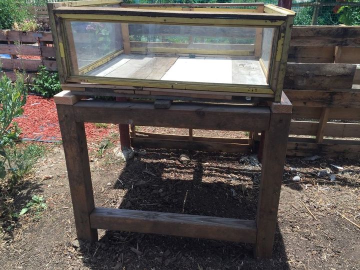 up cycled windows into small greenhouse, container gardening, gardening, repurposing upcycling, windows