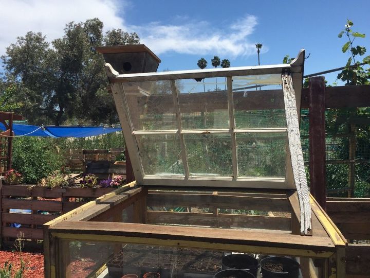 ventanas upcycled en pequeo invernadero