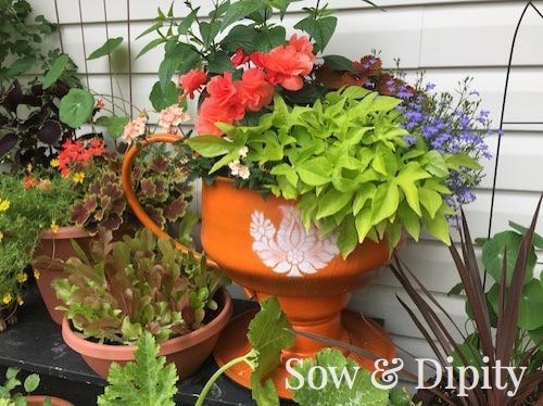 adorable tea cup tire planter, container gardening, crafts, gardening, repurposing upcycling