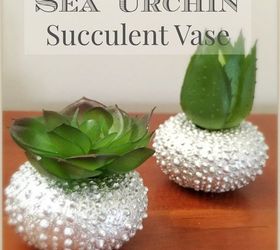 diy sea urchin succulent vase, container gardening, flowers, gardening, succulents