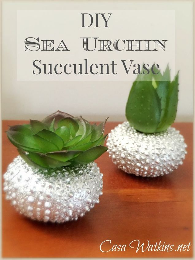 diy sea urchin succulent vase, container gardening, flowers, gardening, succulents