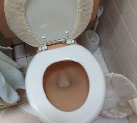 q toilet making noise when flushing, bathroom ideas, home maintenance repairs, plumbing, Trying 2 estimate age