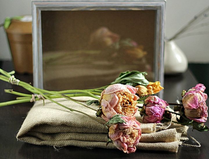 shadow box peonies, crafts, flowers, gardening, how to