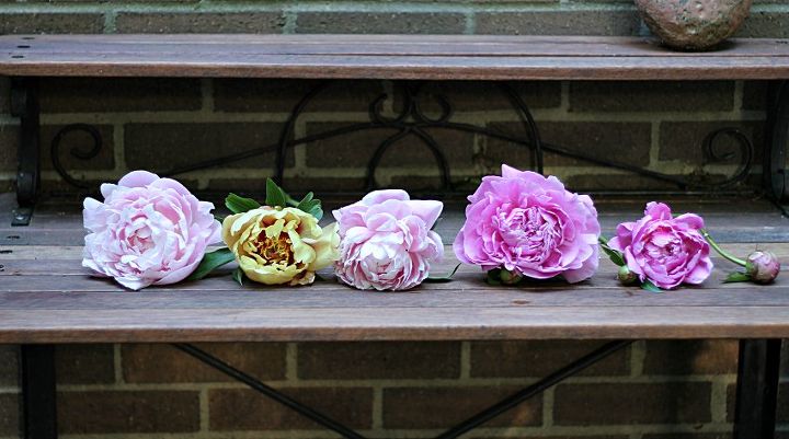 shadow box peonies, crafts, flowers, gardening, how to
