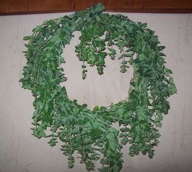 herb wreath, crafts, how to, repurposing upcycling, wreaths, FIrst wreath