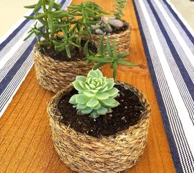 rope wrapped cans as planters, container gardening, crafts, flowers, how to, outdoor living, repurposing upcycling