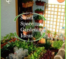 small space gardening ideas for urban gardeners, container gardening, gardening, homesteading, urban living