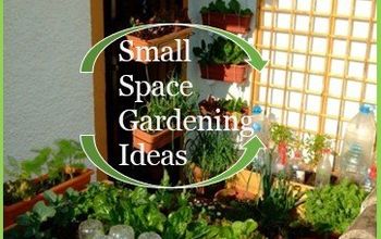 Ideas de jardinería en espacios pequeños para los jardineros urbanos