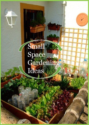 idias de jardinagem em pequenos espaos para jardineiros urbanos