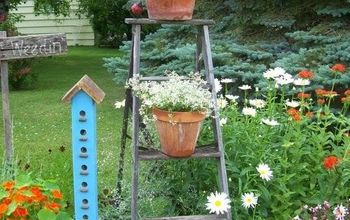 How To Add Vertical Interest To Your Flower Beds & Containers