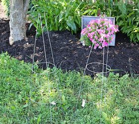 think a tomato cage is just for growing tomatoes look at these hacks, Photo via Pam House of Hawthornes