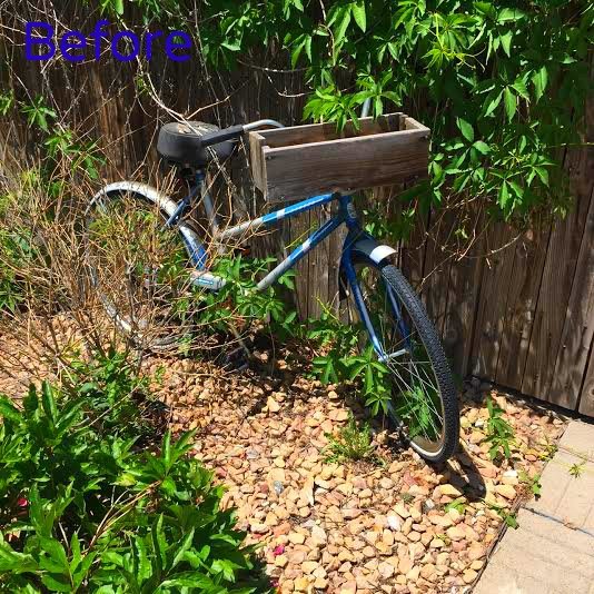 repurposed garden bike, container gardening, gardening, repurposing upcycling