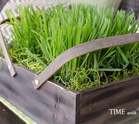 cat grass seeds spanish moss inexpensive lush green planter, container gardening, gardening