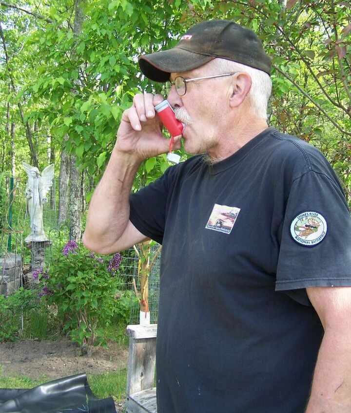 garden reflecting pond, ponds water features