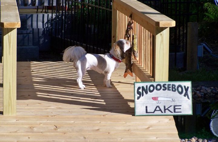garden reflecting pond, ponds water features