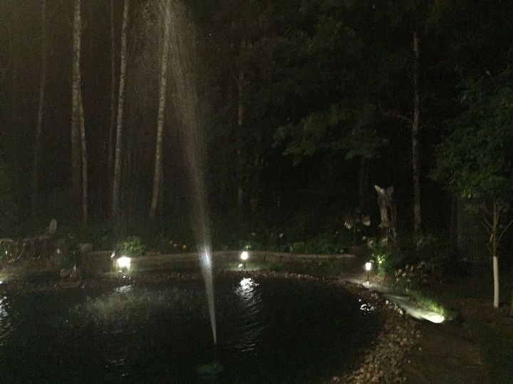 garden reflecting pond, ponds water features
