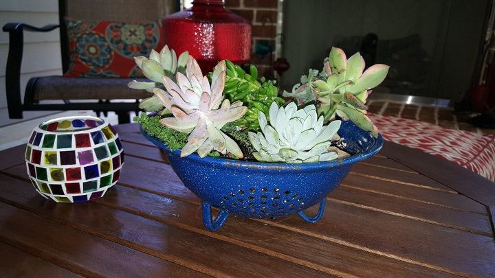 vintage collander turned succulent planter, container gardening, flowers, gardening, repurposing upcycling, succulents