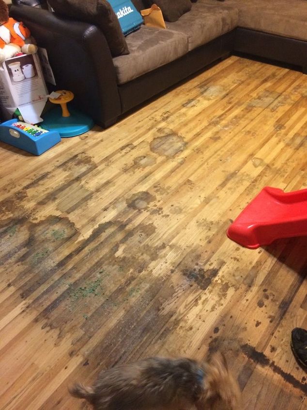 need to refinish floors