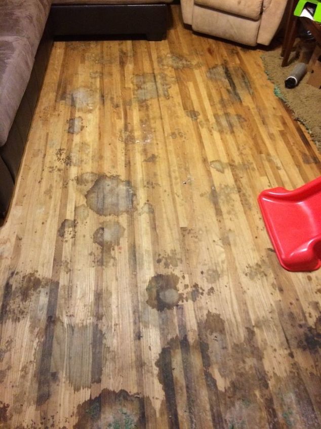 How To Refinish Stained Hardwood Floors, Refinish Hardwood Floors Pet Urine Stains