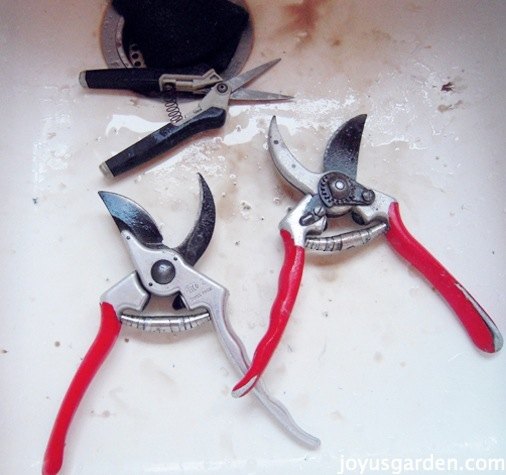 a quick easy way to clean sharpen your pruners, cleaning tips, gardening