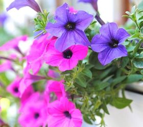 make a vertical garden in 3 easy steps, container gardening, flowers, gardening