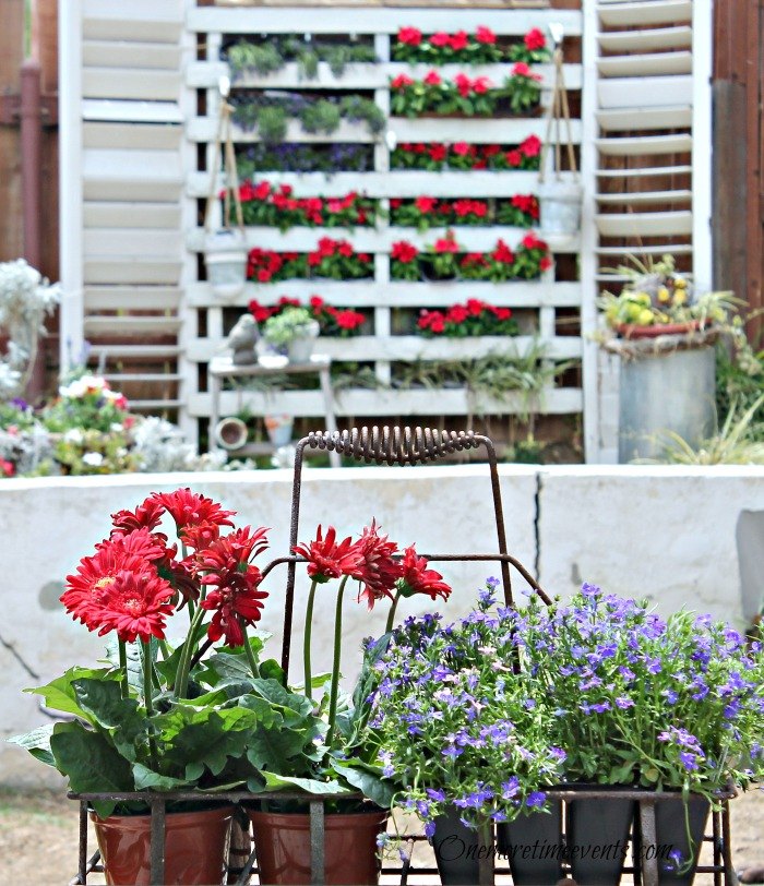 jardinagem com vermelho branco e azul para o 4 de julho