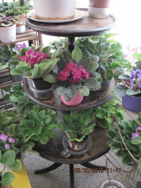 how to refinish hubby s plant stand, He has over 60 plants and babies so it gets used a lot