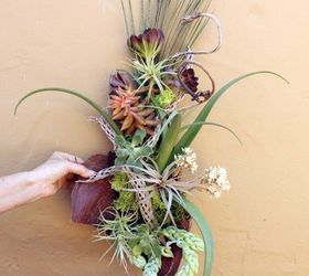 creating succulent wall art on palm debris, crafts, flowers, how to, repurposing upcycling, succulents, wall decor
