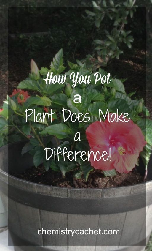 how to pot your plants, container gardening, flowers, gardening, how to, patio