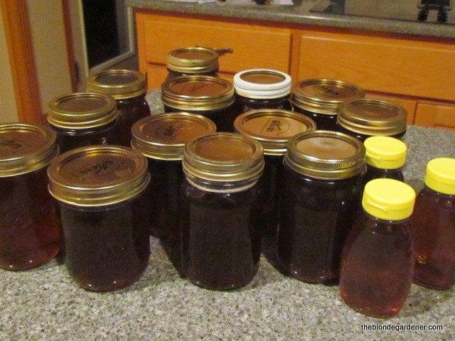how to harvest honey, gardening, homesteading, how to