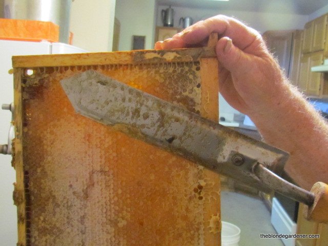 how to harvest honey, gardening, homesteading, how to, Heated uncapping knife