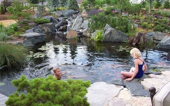 Natural Swimming Ponds: Embracing the Pond Life