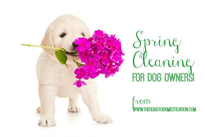spring cleaning for dog owners, cleaning tips, pets animals