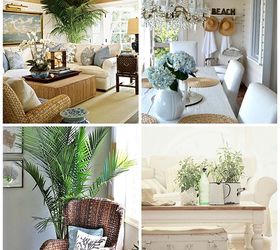 how to create beach cottage chic decor, home decor, painted furniture, repurposing upcycling, rustic furniture, Plants